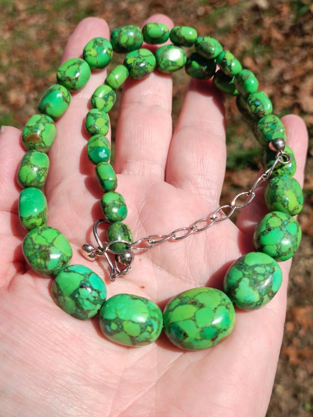 Jay King DTR Mojave green Turquoise necklace 925 Sterling Silver